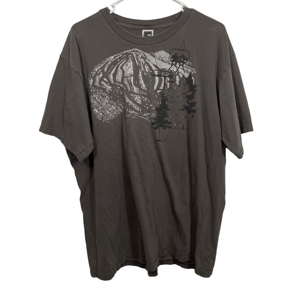 The North Face Grey Graphic Short Sleeve T-Shirt